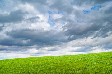 Thunderclouds over the green hill. Dark cloudy sky over young green grass. Classic natural wallpaper for editing and design.