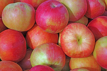 many beautiful juicy fresh apples