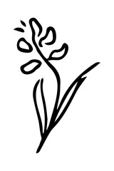 Vector isolated element. Illustration with flower. Minimalist hand drawn doodle. Black line.