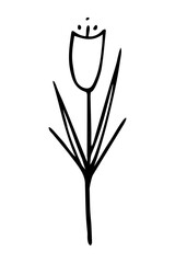Vector isolated element. Illustration with flower. Minimalist hand drawn doodle. Black line.