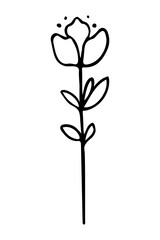 Vector isolated element. Illustration with flower. Minimalist hand drawn doodle. Black line.
