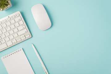Top view photo of white keyboard mouse reminder pen and flowerpot on isolated pastel blue background with copyspace © ActionGP