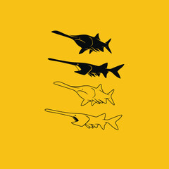 Fototapeta premium paddlefish