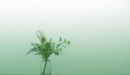 Glass vase with green flowers. Color gradient. Copy space. Backgound, banner. 