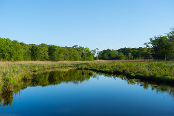 Fototapeta na wymiar lake water nature landscape forest
