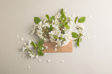 Cherry white flowers bouquet inside a envelope. Holiday, Mothers day gift concept. Spring background. Flat lay, Copy space.