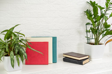 books and plants are on the shelf