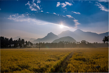 Sunrise over mountains with cloud cover in India casting beautiful light over paddy fields.