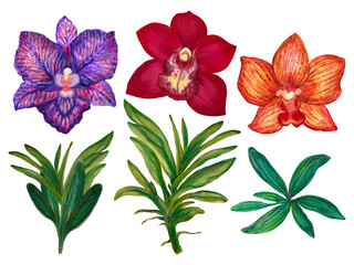 Hand drawn greeting card, calendar, planner inspired by ancient elegant orchid wild flower botanical blooming foliage and leaf element isolated on white