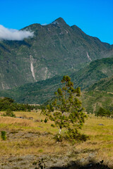 Fototapeta na wymiar Vista de árboles y montañas en el Parque Nacional Volcán Barú en Chiriquí, Panamá 
