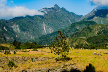 Vista de árboles y montañas en el Parque Nacional Volcán Barú en Chiriquí, Panamá 