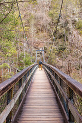Fototapeta na wymiar Mountaineer walking on a wooden suspension bridge