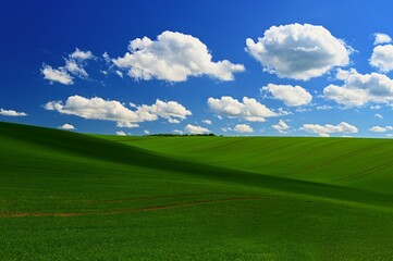 Fototapeta na wymiar Beautiful spring landscape with blue sky, sun and clouds.