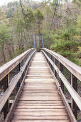 Fototapeta premium Wooden suspension bridge in the forest