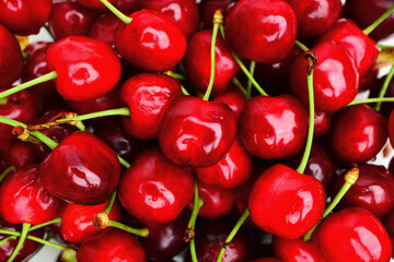 Close up of pile of ripe cherries with stalks. Large collection of fresh red cherries. Ripe cherries background. Raw Red Organic Cherries Ready to Eat. 