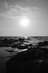 Bad condition of sea shore with toxins and oil spills on the coast and polluted water, black and white image pollution concept background