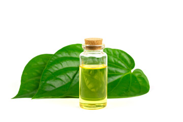 Betel Essential oil in bottle and green leaf isolated on white background.