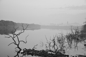 Monochromatic powerful composition depicting the polluted water and dead surrounding trees and plants, image depicting the concept of dying environment and climate change is real