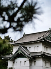 Roof of a japanese temple or castle