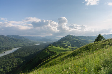 Obraz premium Delightful sunny mountain landscape: the large green hills and the river in the distance. Siberian nature. Altai