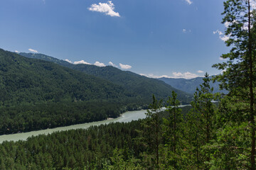 Wonderful summer landscape. View from above of a green mountain, blue sky, muddy river and coastal forest. Altai republic nature.