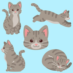 Set of simple and adorable Gray Tabby cat illustrations flat colored
