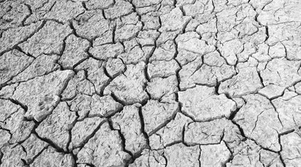 cracked earth