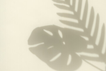 Silhouette of a blurred shadow of a curve of a palm tree branch and a monstera leaf from sunlight on a light yellow background and copy space. Minimal trending concept.