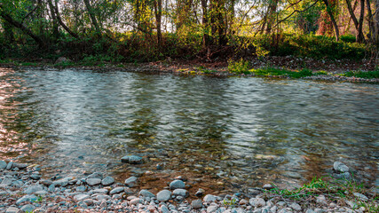 Stream in the forest in sunset light, picturesque water and wood landscape, connection to nature concept