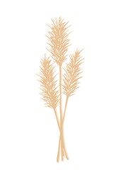 Hand-drawn vector drawing in calm pastel colors. Bunch of wild steppe pampas grass, cortaderia plant. Bouquet of flowers, twigs of a panicle for boho decor, decoration.