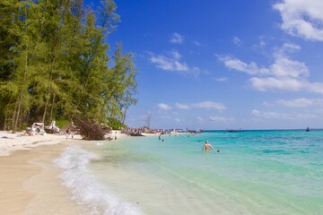 beach with palm trees