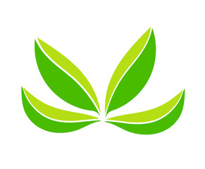 Leaf logo vector