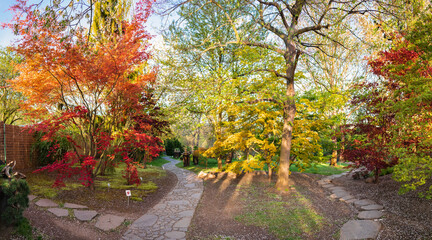 Naklejka premium Panoramatic shot of sunlit forest with two ways