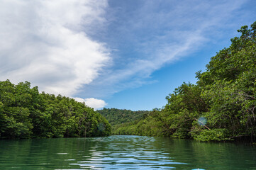 Obraz premium Klong Chao river on koh kood island at trat thailand.Koh Kood, also known as Ko Kut, is an island in the Gulf of Thailand