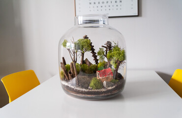 Small decoration plants in a glass bottle, garden terrarium bottle,  forest in a jar. Terrarium jar with piece of forest with self ecosystem. Save the earth concept. Bonsai, set of terrariums, jars