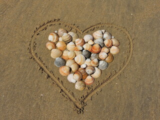 Heart ans shells on sand