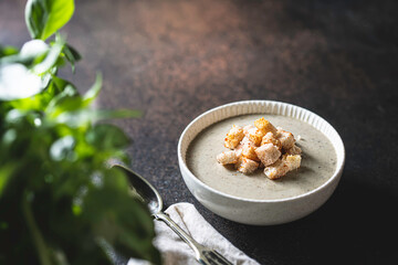 Homemade cream-soup with porcini mushroom with crackers.