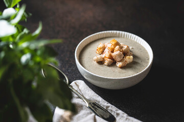 Homemade cream-soup with porcini mushroom with crackers.