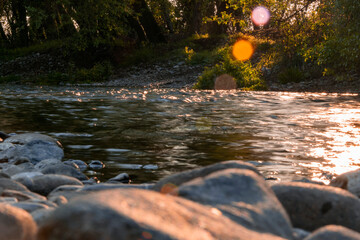 pebble shore of wood stream water flow in sunset light