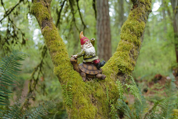 tree in the forest