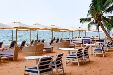 lounge chairs on the beach