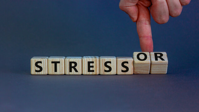 Stress and stressor symbol. Businessman turns cubes, changes words 'stress' to 'stressor'. Beautiful grey background. Medical, psychological, stress and stressor concept. Copy space.