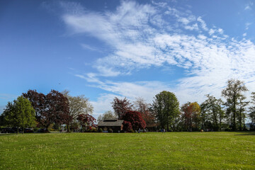 Green yard & Blue sky