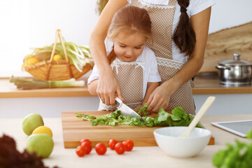 Happy woman and her daughter making healthy vegan salad and snacks for family feasting in sunny kitchen. Christmas, New year, Thanksgiving, Anniversary, Mothers Day. Healthy meal cooking concept