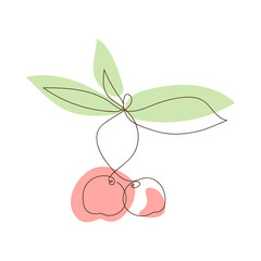 Simple sketch of cherries with leaves, colored abstract spots, doodle style, hand drawn. Cherry line art icon, outline style, sweet cherry silhouette, symbol, sign. Illustration one line drawing style