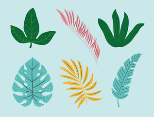 leaves icon collection