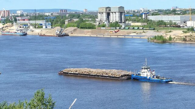 A barge transports cargo on the river in the summer. Transportation of wooden logs on the river. High quality FullHD