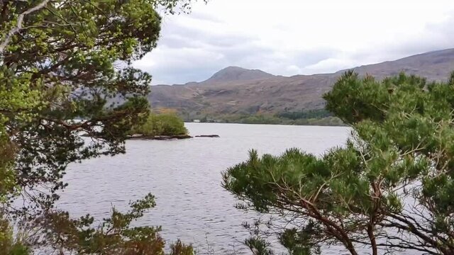 Looking through Pine woodland at Loch Maree