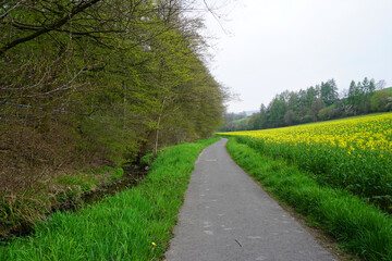 Radweg von Grünenplan nach Delligsen eingebettet zwischen einem Bachlauf und einem Rapsfeld