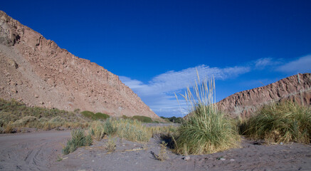 Fotografía Nocturna en el Desierto de Atacama, Chile